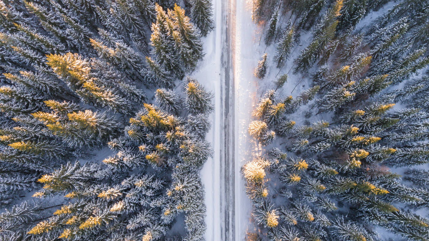 arial view of a wintery path