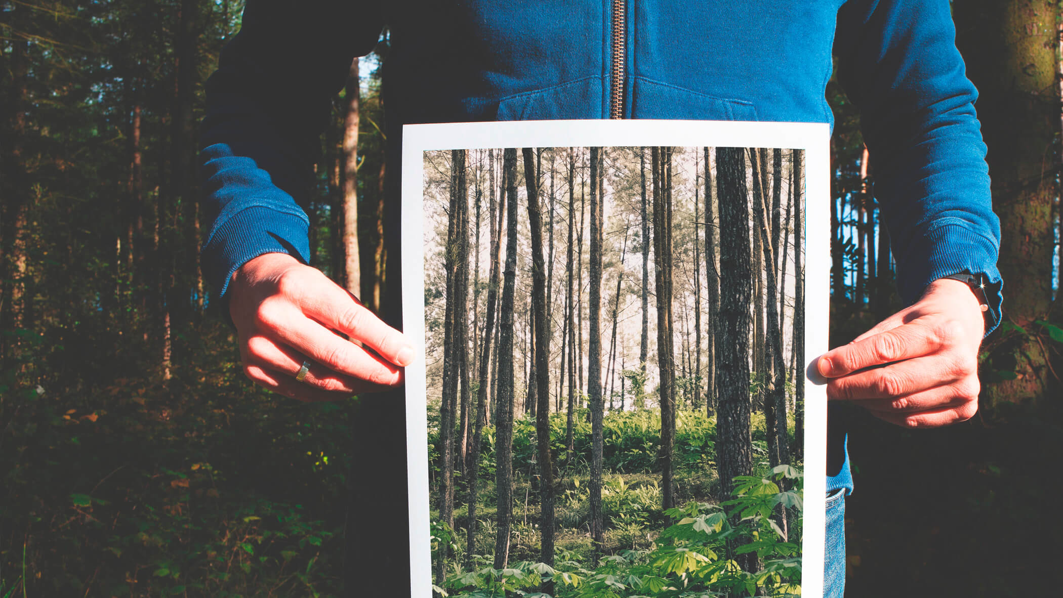 A man holding a picture of a forest, while he's standing inside a forest