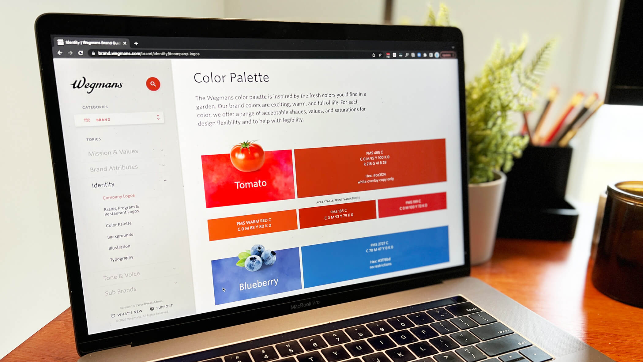 a laptop showing the wegmans color palette screen